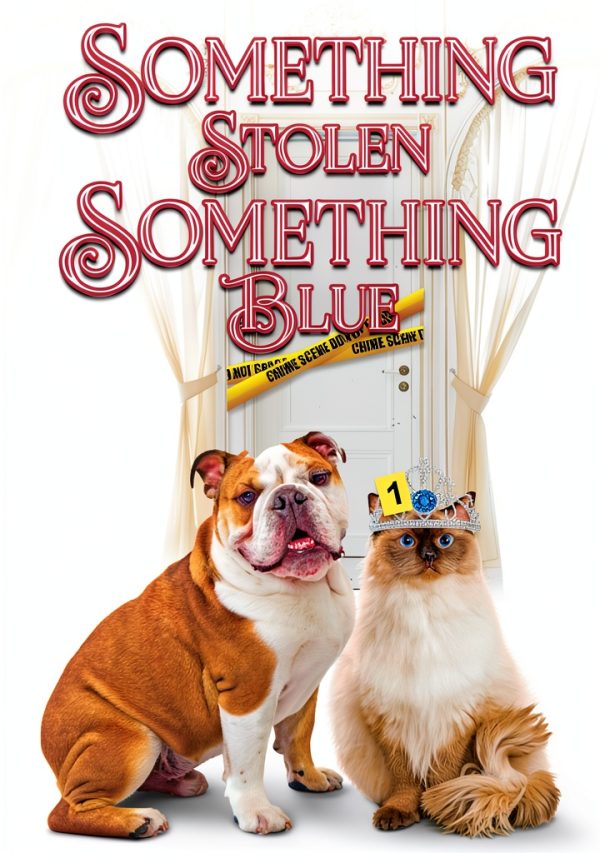 Felicity Philips Investigates Book 6 Cozy Mystery Kindle Edition-0